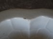 画像11: イギリスアンティーク 白い陶器製 ゼリーモールド (11)