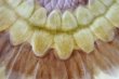 画像6: バルボティーヌ ウエッジウッド ひまわり ヒマワリ 向日葵 デザート皿 #1〖202207-53〗 (6)