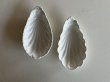 画像13: ラヴィエ 白いポーセリン シェル形 ＃2〖202501-07〗 (13)