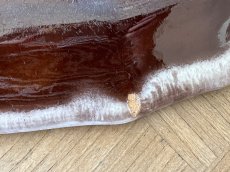 画像33: キュノワール キュノワ 細長いオーバルプレート 38.5cm [202506−100] (33)