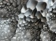 画像7: ノルディックウェア ケーキ型 モールド シルバー モミの木〖202501−70〗 (7)