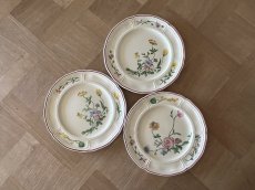 画像22: HBCM VP ヴーヴペランシリーズ 花リム 花柄 メインプレート 25.7cm ＃1 [202506−79] (22)