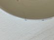 画像15: カフェオレボウル ボルドー窯 さくらんぼとかたつむり柄 口径12.8cm〖202503-08〗 (15)