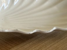 画像11:  ディゴワン＆サルグミンヌ 白いシェルレリーフ ラヴィエ [202507-28] (11)