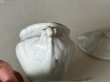 画像17: クレイユエモントロー 白いムタルディエ〖202503-24〗 (17)