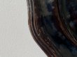 画像7: 南仏陶器 デュルフィ窯 焦げ茶釉薬 花リム 大型プレート 33cm〚202504-027〛 (7)