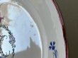 画像7: フランス東部 ファイアンス お花とモノグラム、ヤグルマギク 絵付けプレート ＃2〚202504-015〛 (7)