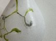 画像11: ヤドリギ ガラスにエナメル キャラフ ボトル H25.2cm〖202412−018〗 (11)
