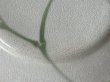 画像8: ヤドリギ ラシュナル リュネヴィル窯 デザート皿 22cm ＃2〖202412−027〗 (8)