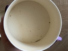 画像9: SOUVENIR DE TOULOUSE スミレのお菓子BOX [202508-13] (9)