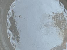 画像5: SALINS 白い葡萄レリーフ デザートプレート #1 [202508-37] (5)